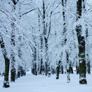 Winter park. Photo: Liv Osmundsen, The Royal Court.
